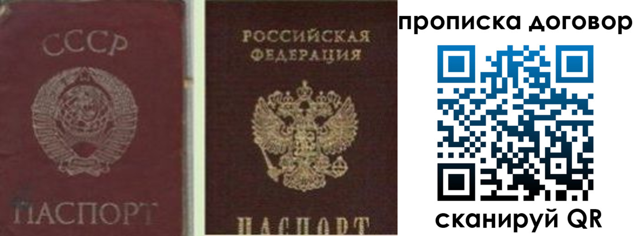 прописка гарантия в Нижнем Ломове